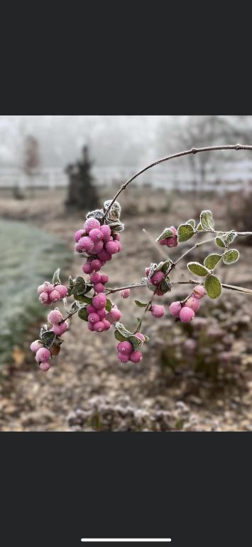 Fotografie z fotogalerie ubytování Fewo Am Gribesgraben v destinaci Sonthofen