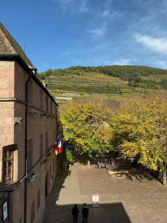 Coeur d'alsace – photo 17
