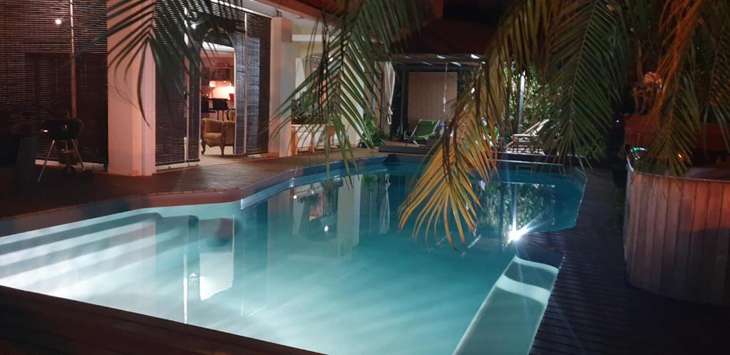 a swimming pool with a palm tree next to it at VILLA CAP détente et SPA in Saint-Louis