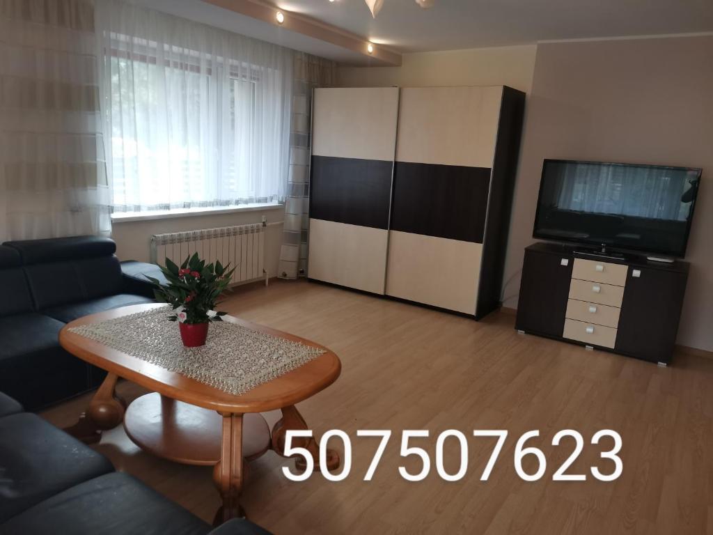 ein Wohnzimmer mit einem Sofa, einem Tisch und einem TV in der Unterkunft Apartament Rycerka Górna in Rycerka Górna