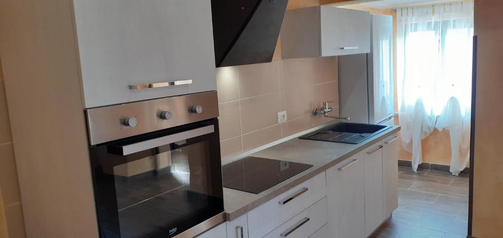 Kuchyň nebo kuchyňský kout v ubytování Apartman Miljenka