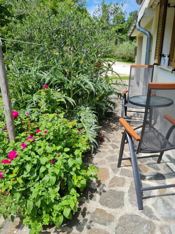 a patio with a chair and some flowers at Apartma Istra Zora in Sečovlje