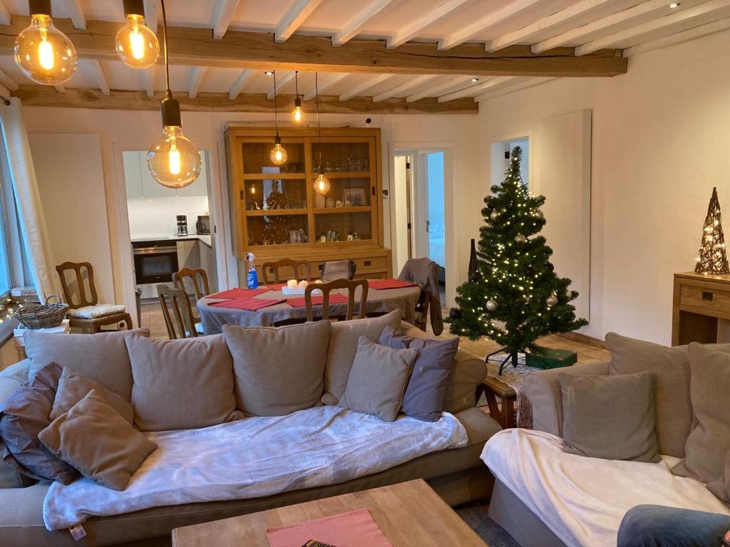 Posezení v ubytování Maison L’ Ambléve