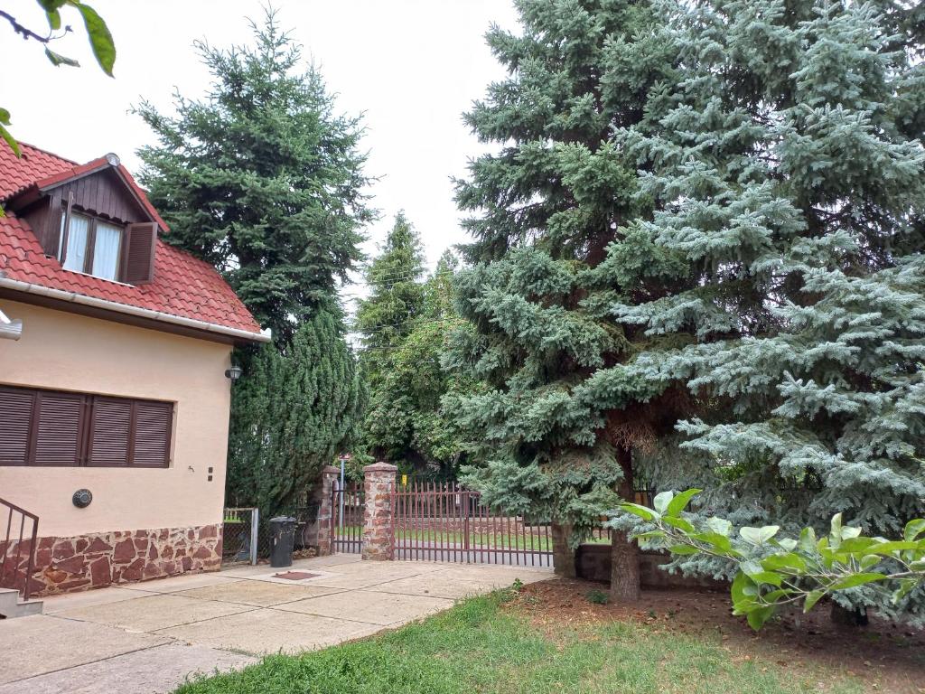 Zahrada ubytování Háromfenyő Apartman