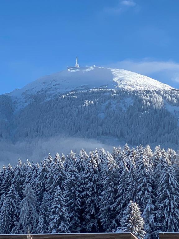 Hotel Restaurant Grünwalderhof - Resim 40
