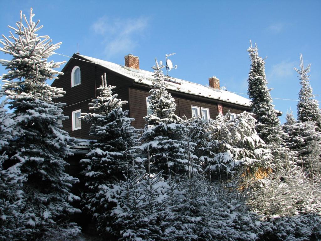 a house with snow covered trees in front of it at Chata-R Mariánská in Mariánská