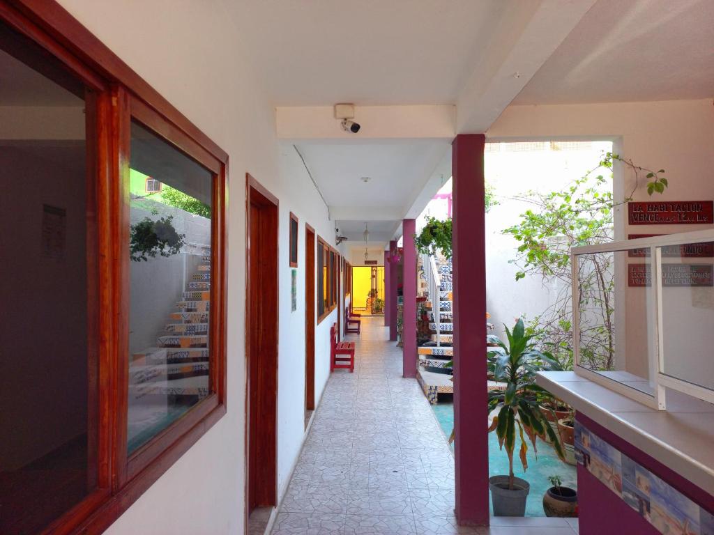 Fotografie z fotogalerie ubytování Posada Casa Bugambilias v destinaci Tecolutla