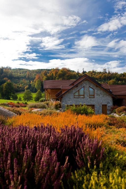 une maison au milieu d'un champ fleuri dans l'établissement Chambre d'hôtes La Forestière, au Hohwald