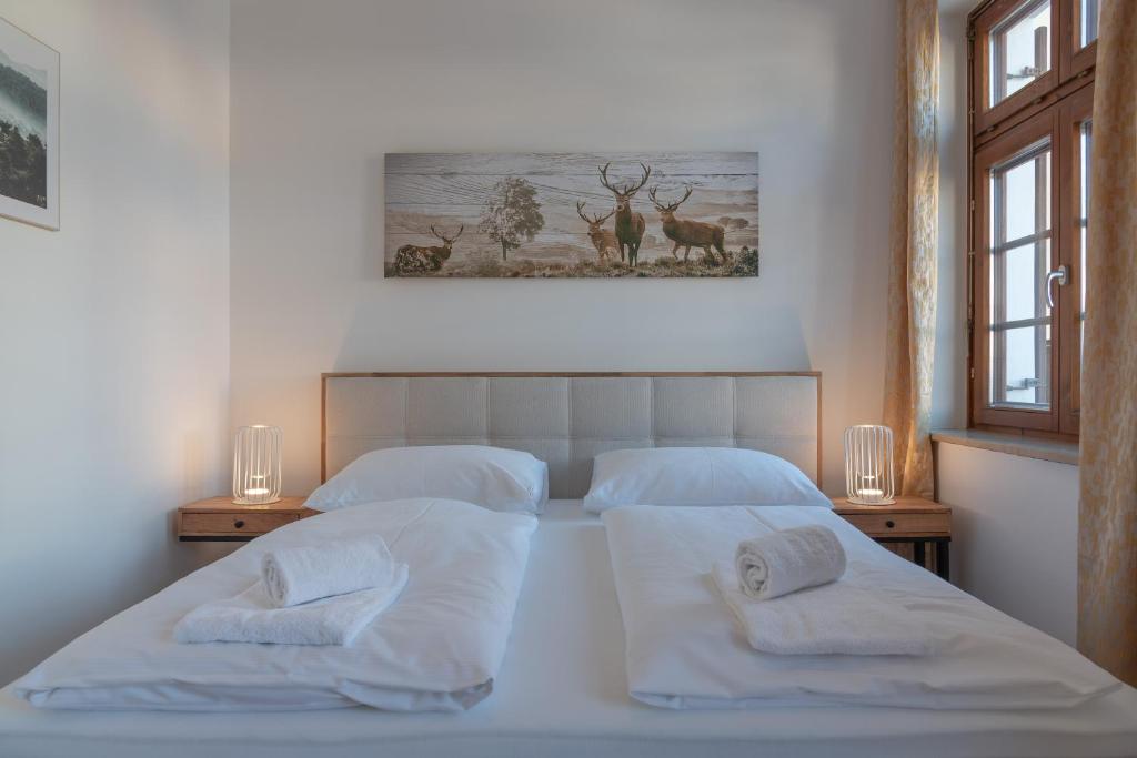 Post Residence Apartments incl ZAK SUMMER CARD by All in One Apartments - 17