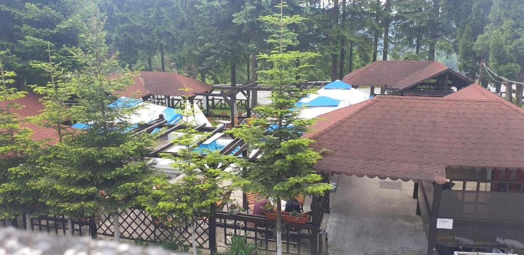 Bazén v ubytování Hotel Bucegi Portile Regatului nebo v jeho okolí