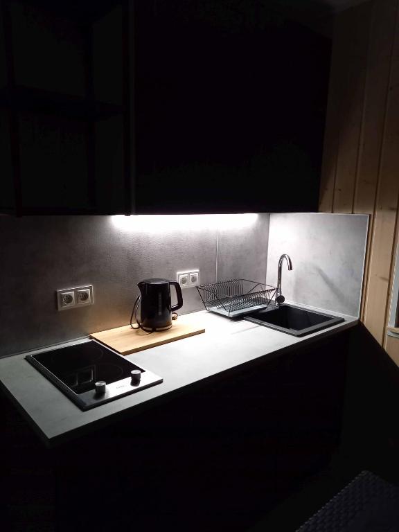 Kuchyň nebo kuchyňský kout v ubytování Domki Reval