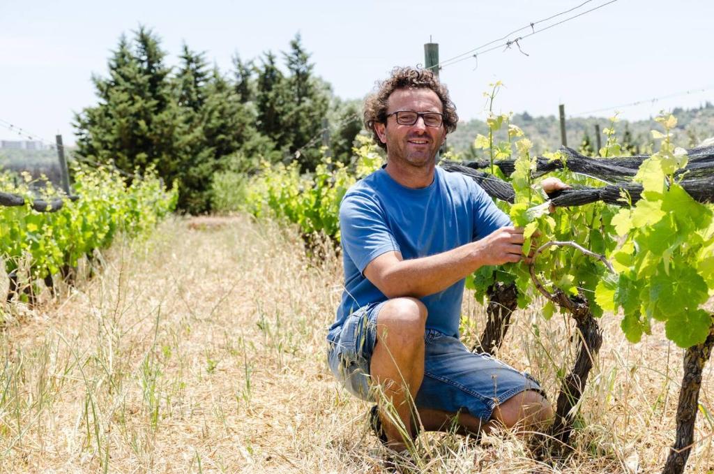 Hosté ubytování Casas na Vinha - Monte da Casteleja, Wine Estate - Eco Turismo Rural