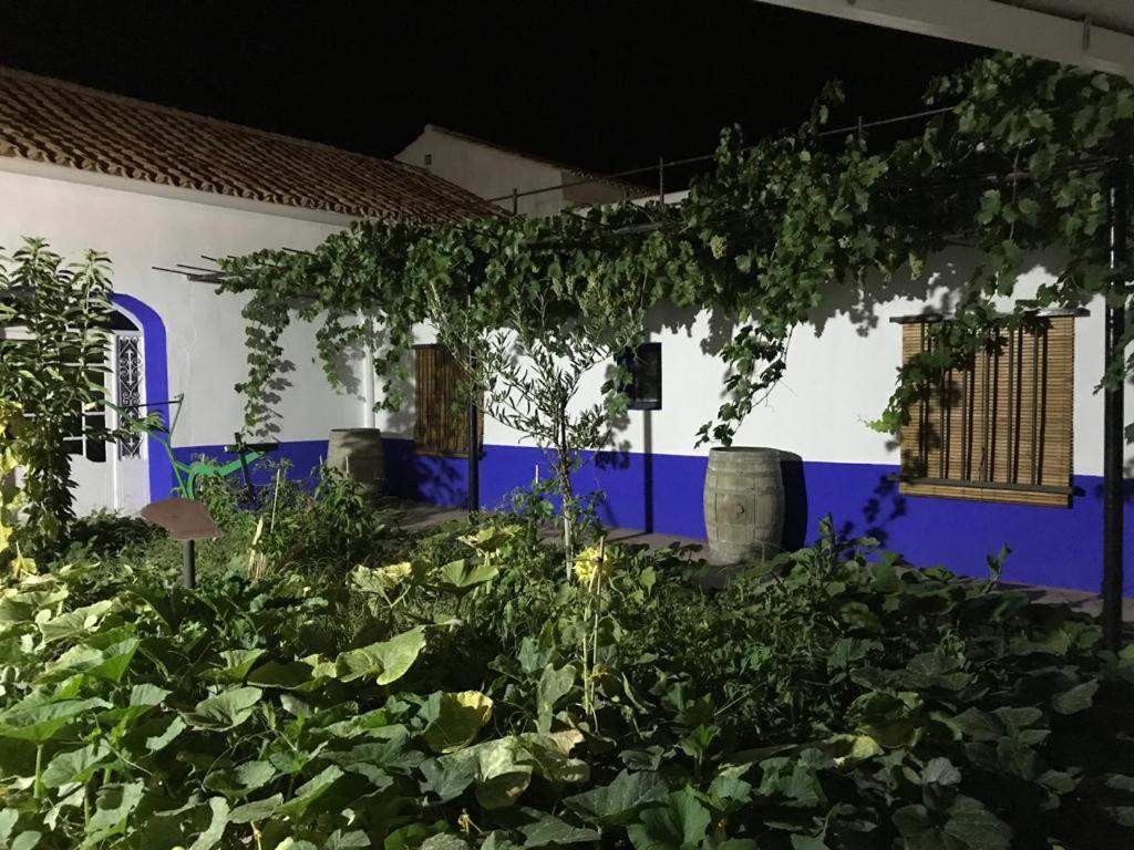 Zahrada ubytování Casa (tipo) RURAL MANCHEGA