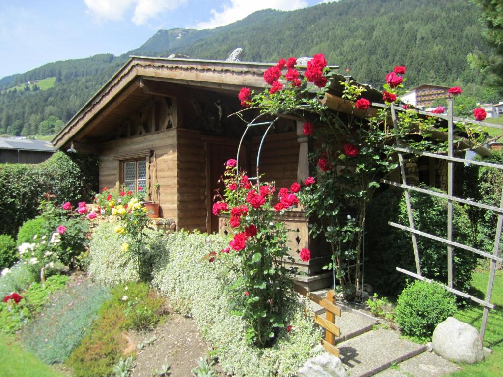 a house with roses in front of it at Haus Krößbacher in Fulpmes