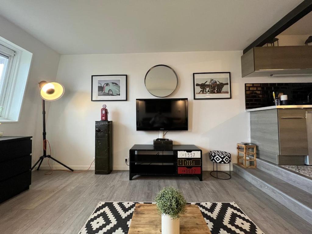 Телевизор и/или развлекательный центр в Studio superbe vue mer, Port-Deauville, proche Plage, centre-ville et casino