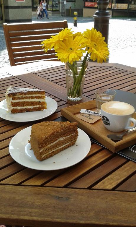 Hotel Radnice - Resim 22