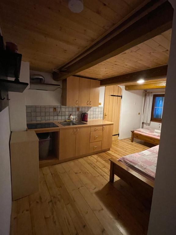 Kuchyň nebo kuchyňský kout v ubytování Hepnarova Bouda