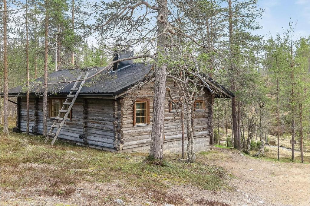 eine Blockhütte im Wald mit einer Leiter in der Unterkunft Kuukkeli Log Houses Aurora Cabin - Jaspis in Saariselkä