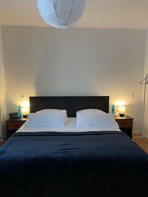 a bedroom with a large bed with two pillows at Trier City Center Apartments & Stadthaus, Zentrum in Trier