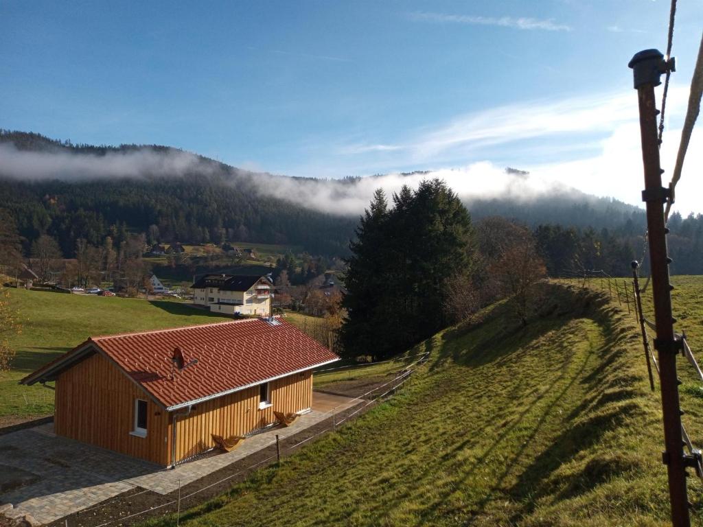 un pequeño edificio de madera en un campo con una montaña en s'heimatgfühl en Schwarzenberg