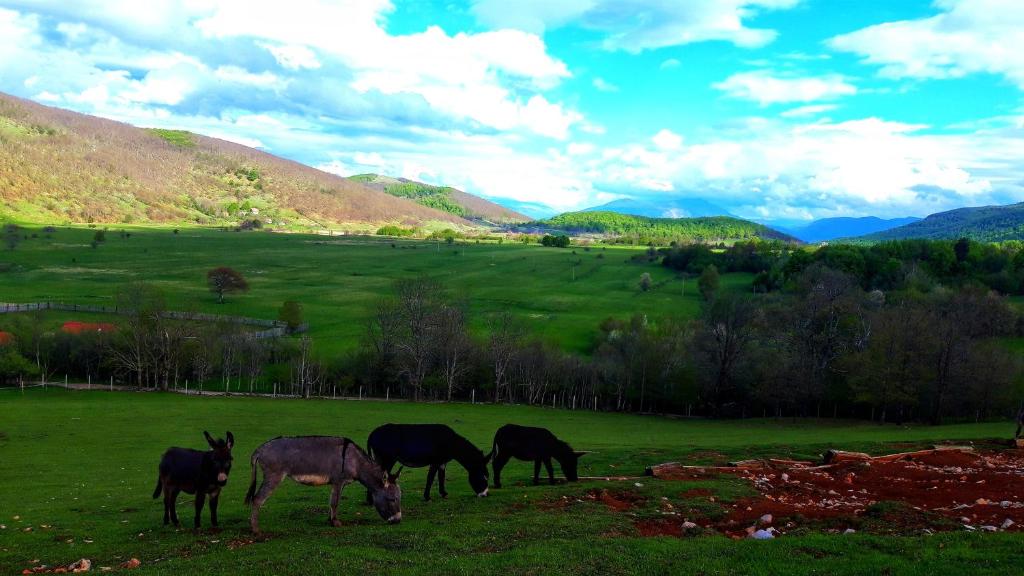 Fotografia z galérie ubytovania Ličke Radosti v destinácii Gornji Lapac