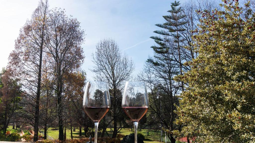 Zahrada ubytování Quinta do Candeeira
