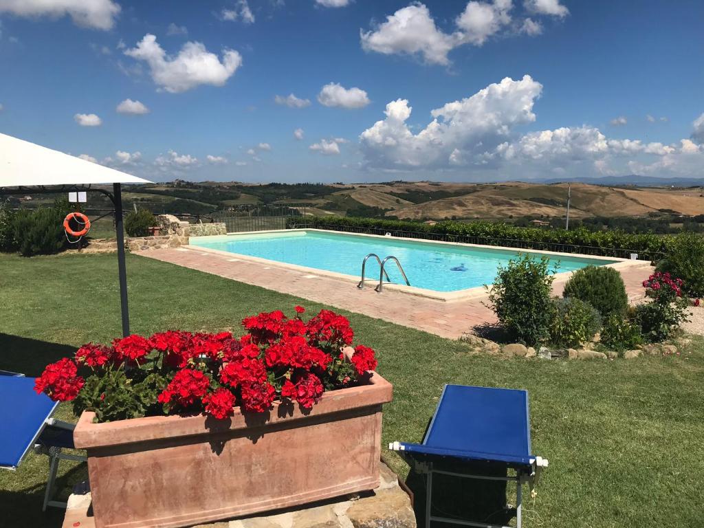 a garden with a swimming pool and red flowers at Podere Ampella in San Giovanni dʼAsso