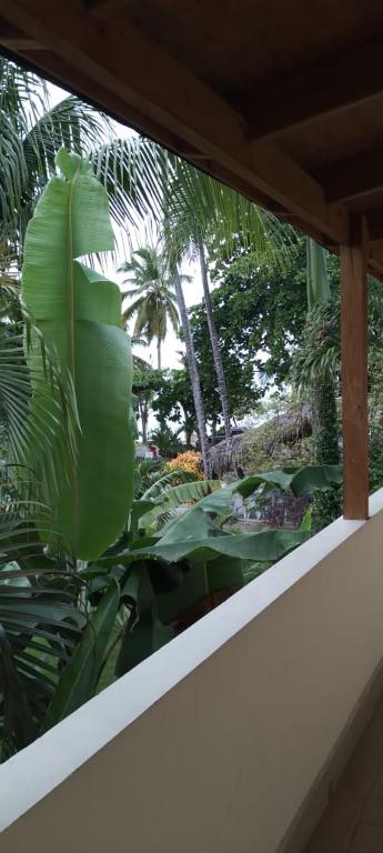 Taman di luar guest house MY WAY