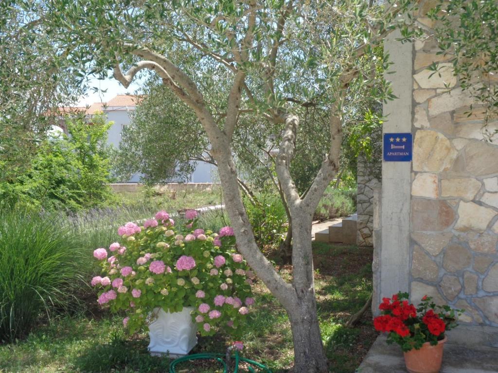 Apartments Milena