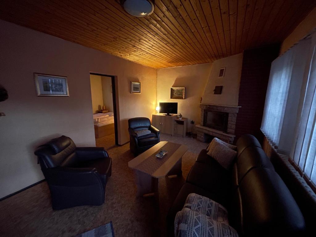a living room with a couch and chairs and a fireplace at Apartmán Penziónu Hrubjak in Oravská Polhora