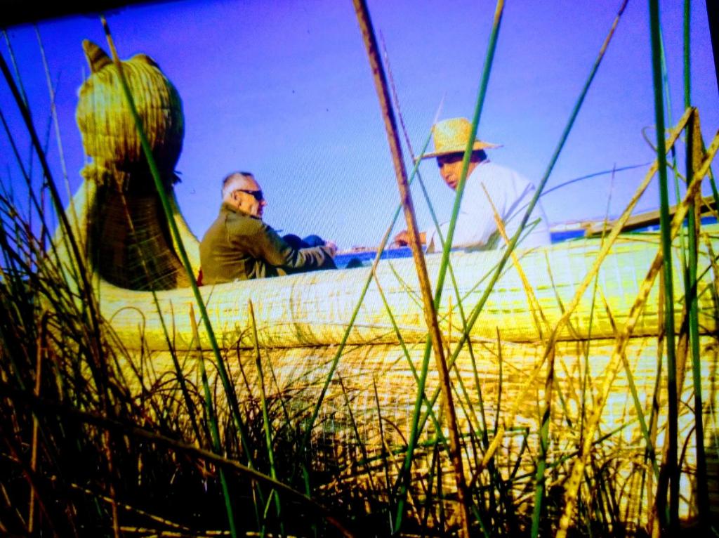 Hosté ubytování Titicaca wasy lodge