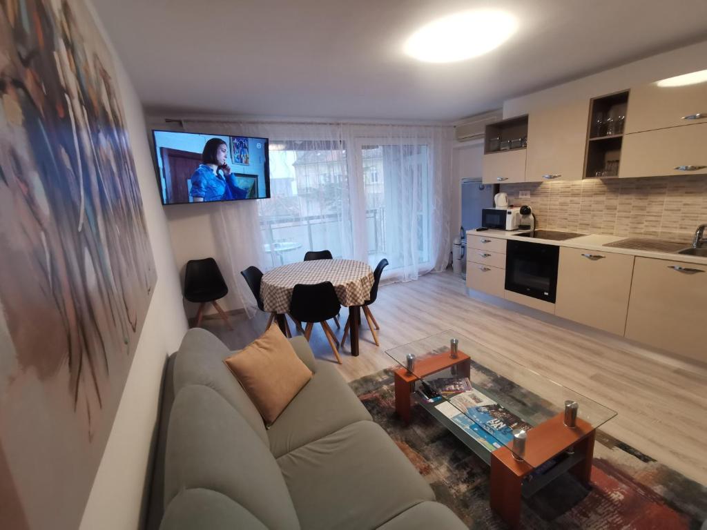 Kuchyňa alebo kuchynka v ubytovaní Apartment Budin 2, Rijeka center