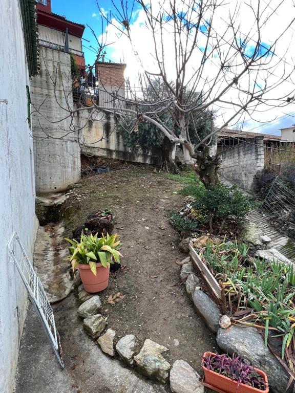 La casa de la abuela, Pinos Genil – ceny aktualizovány 2022