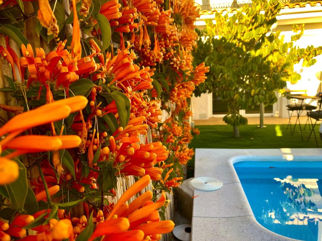 Bazén v ubytování Suite Breeze - Private Heated Pool nebo v jeho okolí