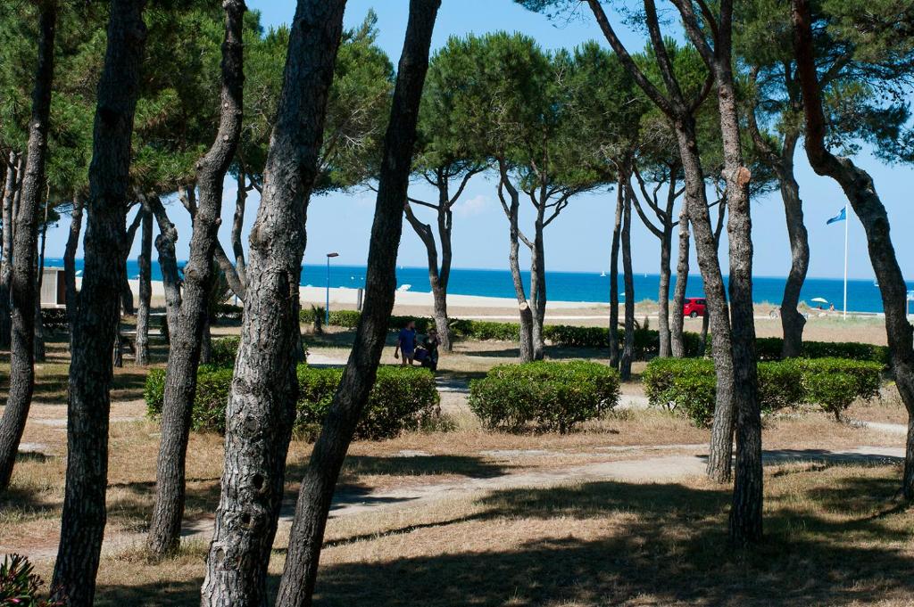 une vue de la plage à travers les arbres dans l'établissement Argelès Plage, à Argelès-sur-Mer