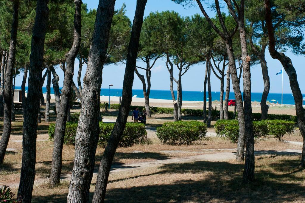アルジェレス・シュル・メールにあるArgelès Plageの木々越しにビーチの景色を望む