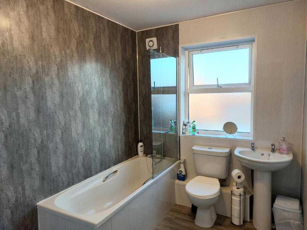 baño con lavamanos, aseo y ventana en Edenderry Town House en Belfast