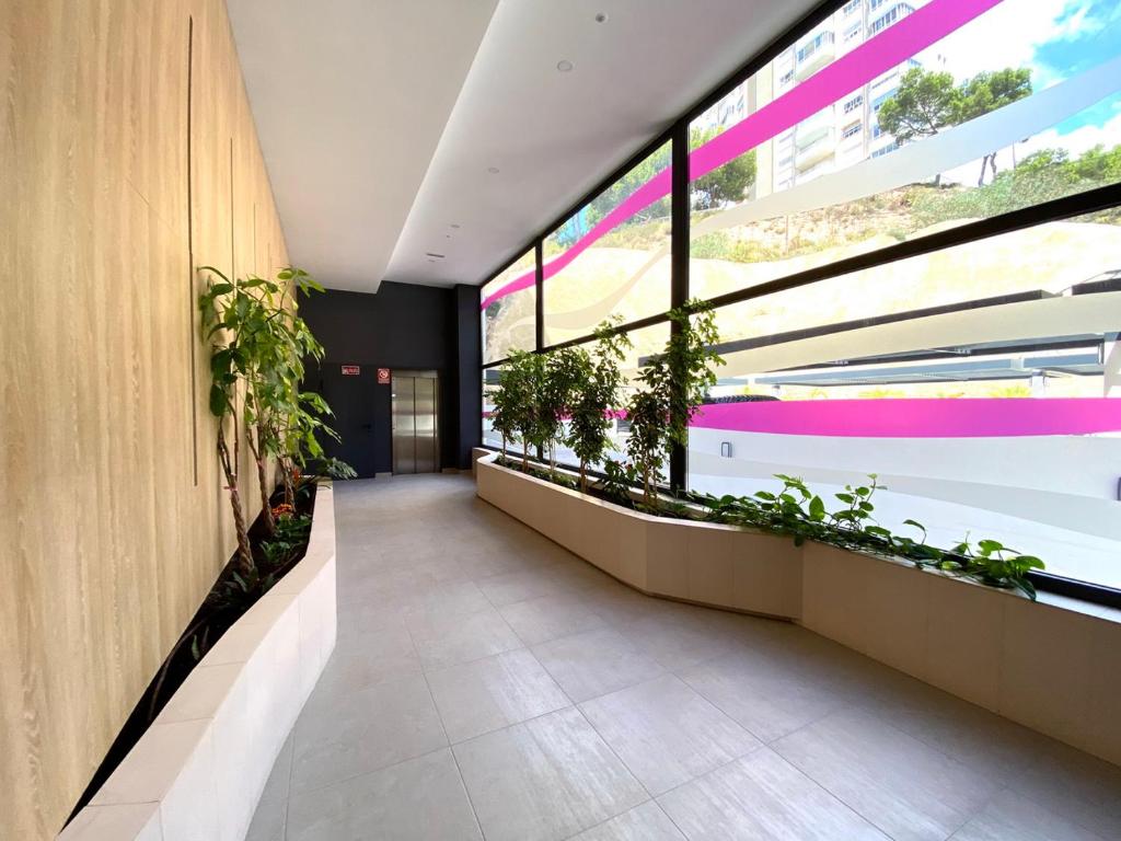 Fotografie z fotogalerie ubytování Exclusive Apartments on the first line of Benidorm Sol y Mar v destinaci Benidorm