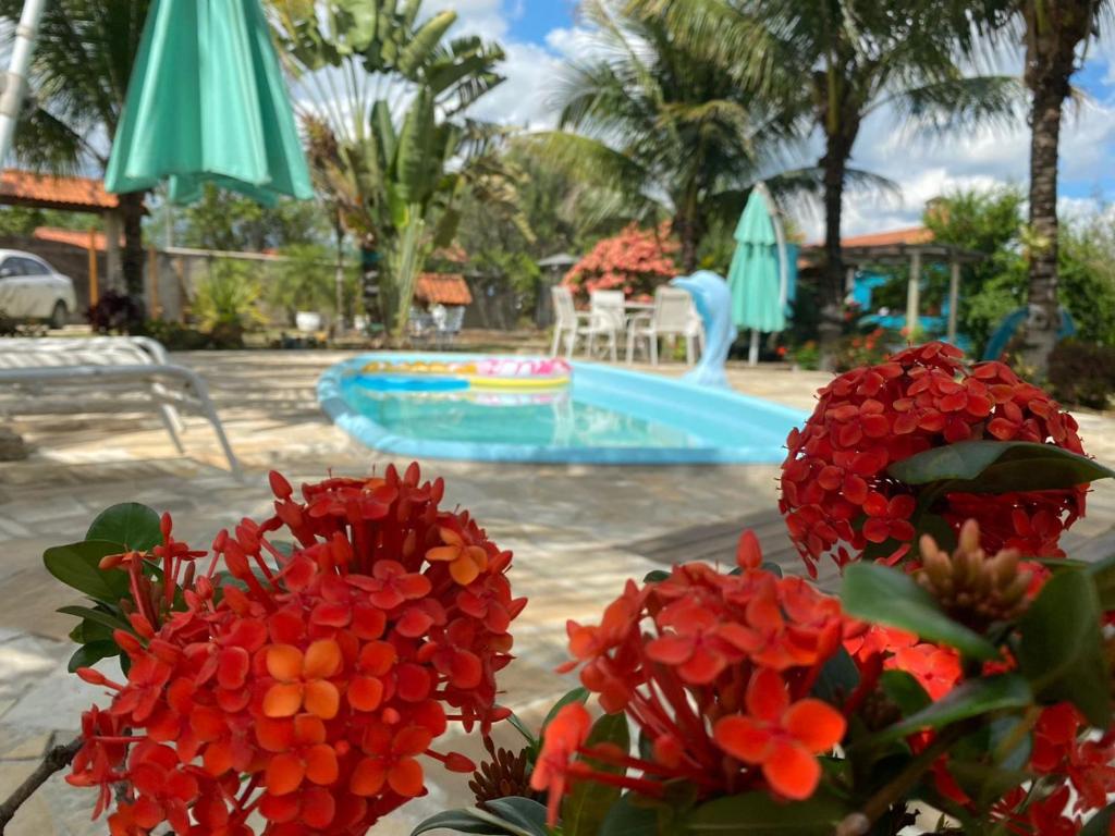 een resort met een zwembad en wat rode bloemen bij Hospedagem Recanto das Orquideas in Quatis