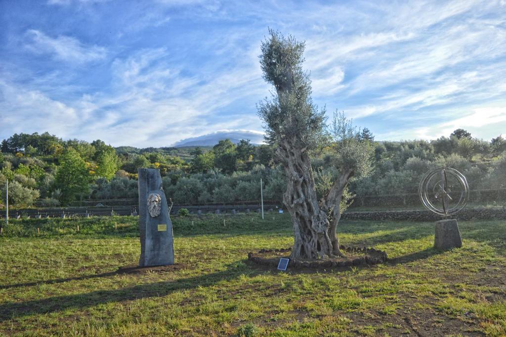 Ogród w obiekcie Agriturismo Kikajon