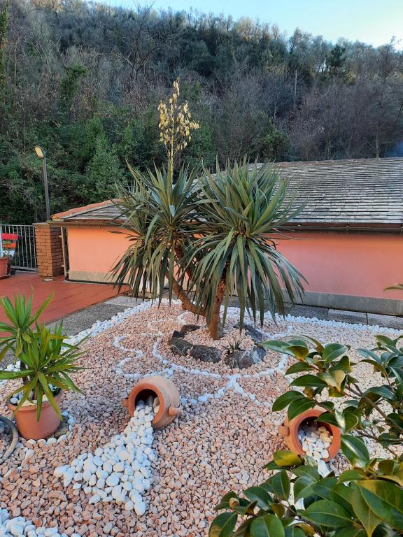 Een tuin van B&B Vignola