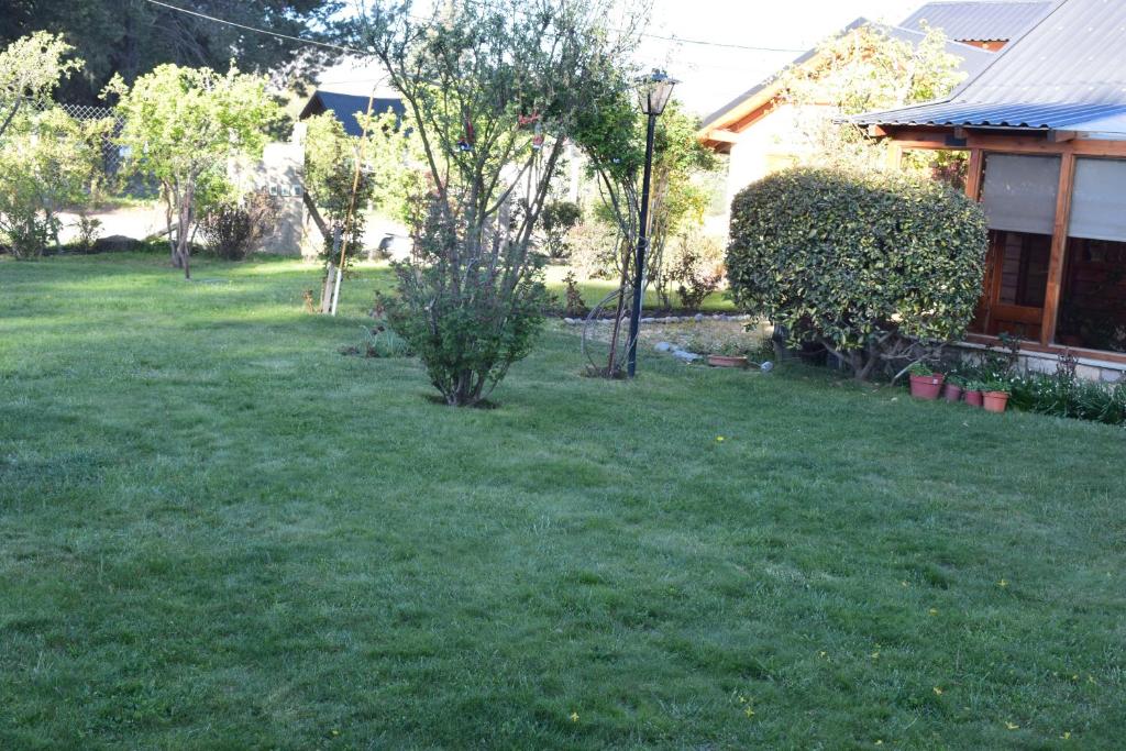 a yard with a small tree in the grass at Montalto in Dina Huapi