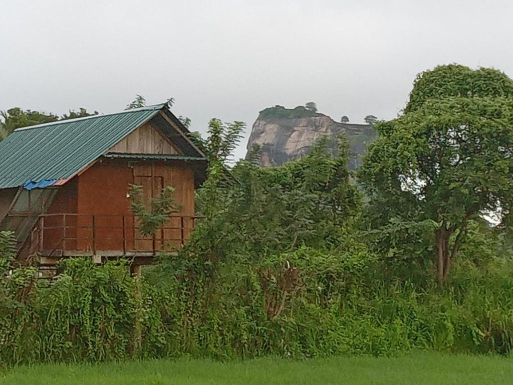 a wooden house with a green roof in a field at Sigiriya Paddy Field Hut in Sigiriya