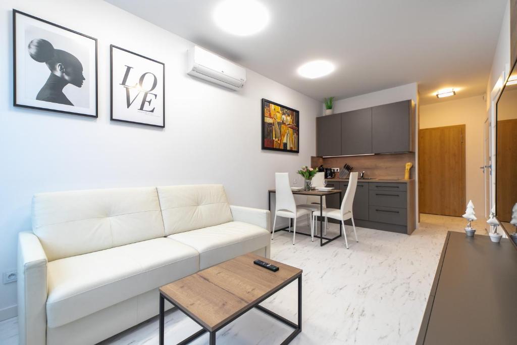Kuchyň nebo kuchyňský kout v ubytování Apartamenty Kalinowa z sauną i bawialnią - Dream Apart