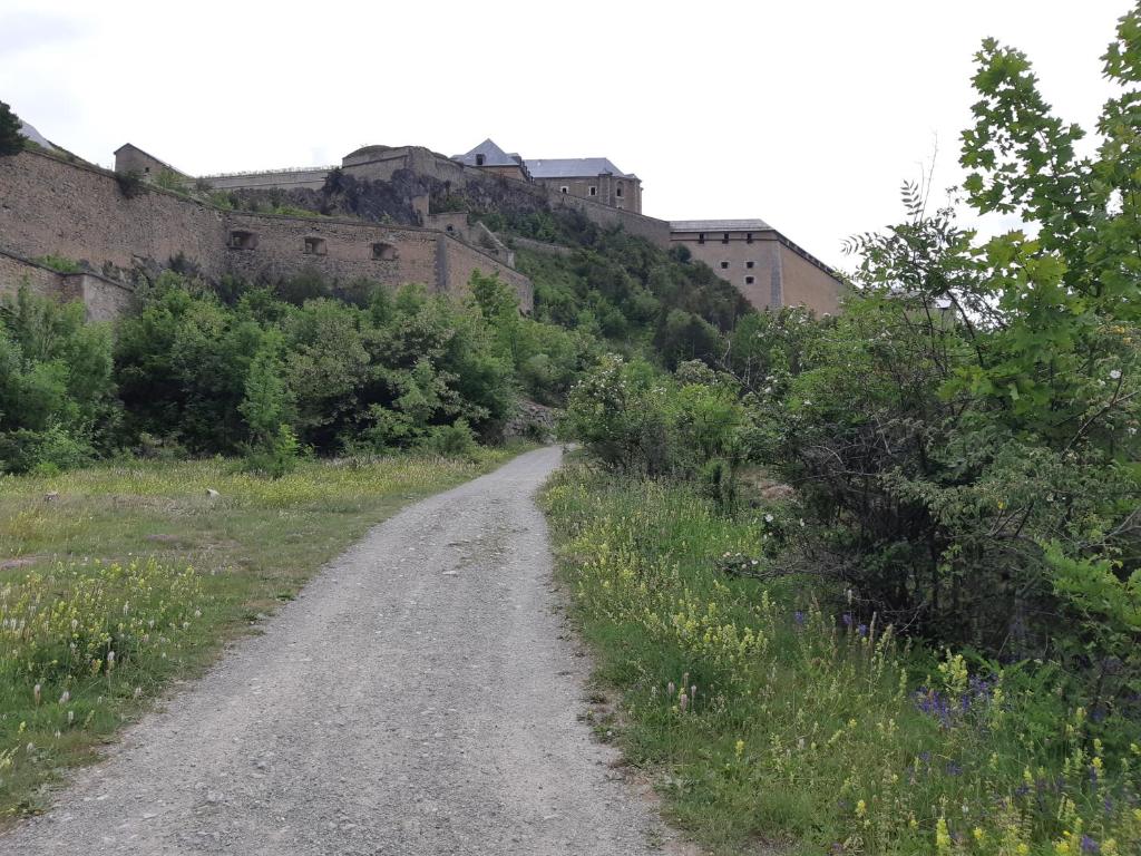 Příroda nedaleko apartmánu