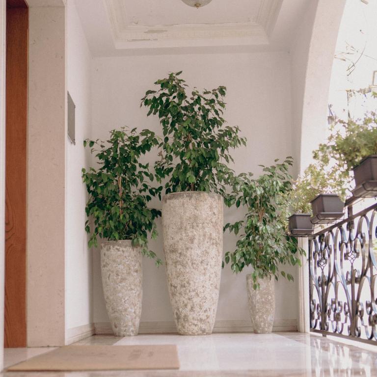 three plants in large vases sitting on a balcony at Lot Boutique Hotel by Hotels and Preference in Tirana