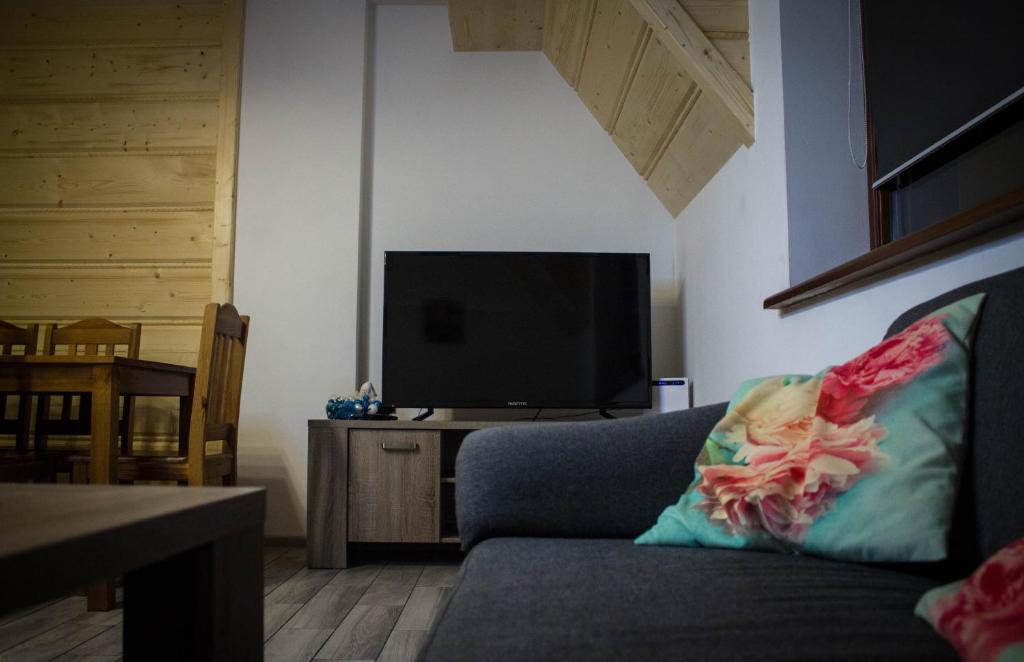 Televízia a/alebo spoločenská miestnosť v ubytovaní Apartament Słoneczny Koscielisko