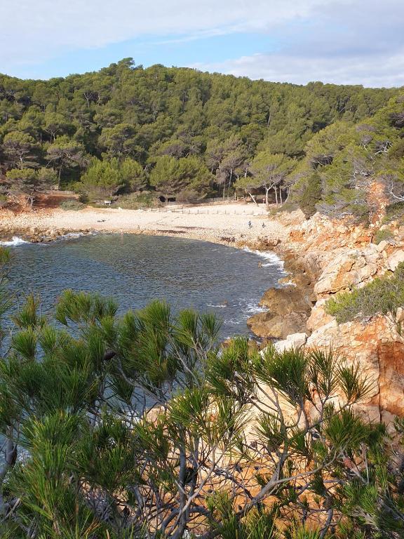 une plage avec une étendue d'eau et d'arbres dans l'établissement Athéna Résidence Bandol - Piscine et Tennis, à Bandol