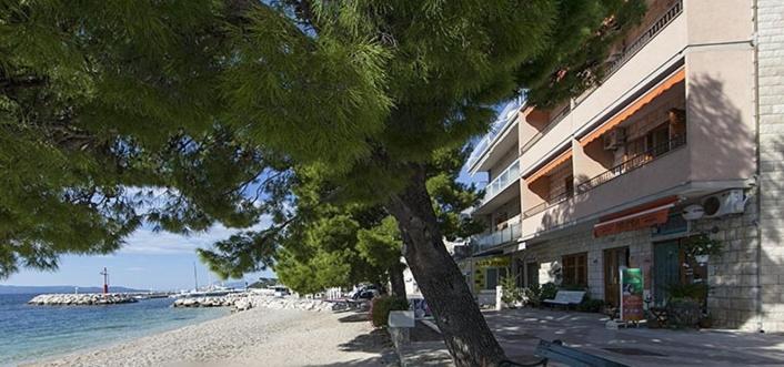 Příroda nedaleko apartmánu