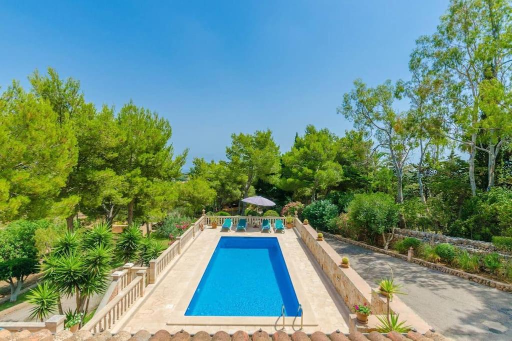 The swimming pool at or close to Es Turó de França